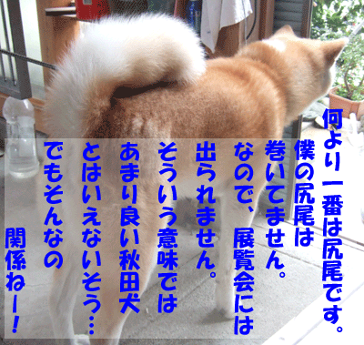 f0008935_13101713.gif
