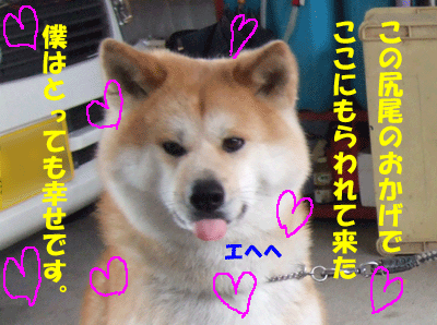 f0008935_13103427.gif