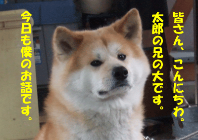 f0008935_1361327.gif