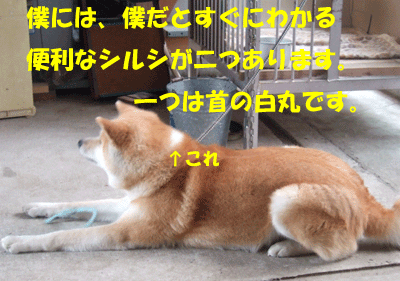 f0008935_1394621.gif