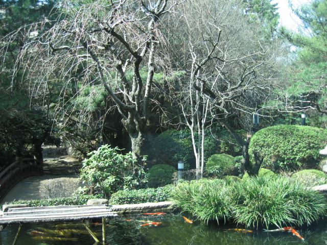 b0088037_22345672.jpg