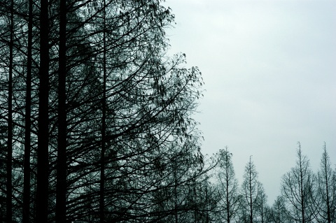 f0032137_046322.jpg