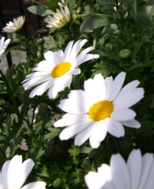c0119142_226850.jpg
