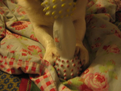 e0018143_09596.jpg