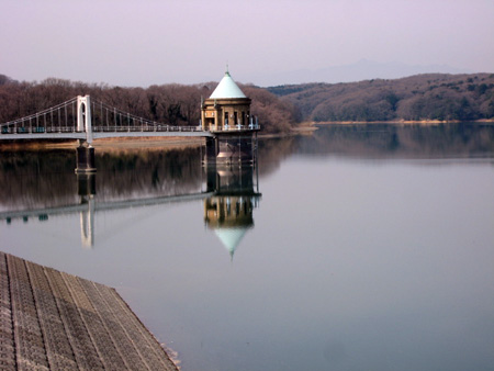 d0104044_1042279.jpg