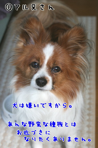d0013149_10461119.jpg