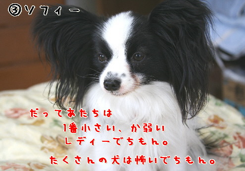 d0013149_10523819.jpg