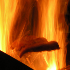 c0048265_16542942.jpg