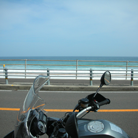 c0048265_1711749.jpg