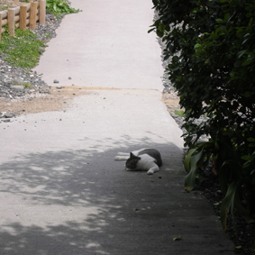 c0048265_1713355.jpg