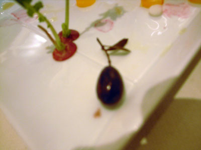 e0052268_2011428.jpg