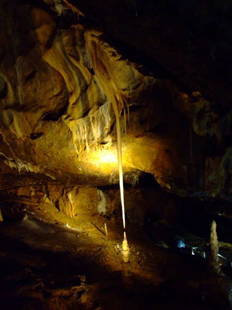 c0069470_19243134.jpg