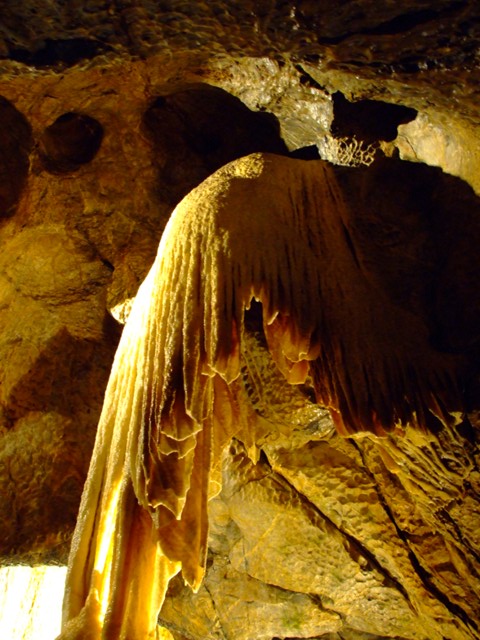 c0069470_1926967.jpg