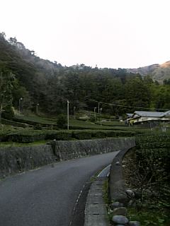 e0114270_1751272.jpg