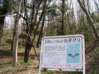 b0004675_12201545.jpg