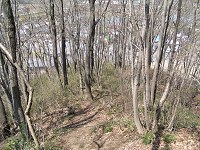 b0004675_12203094.jpg
