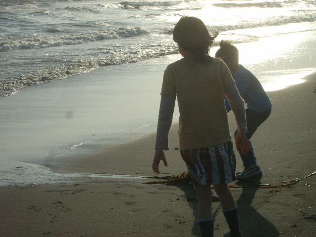 c0119583_8481339.jpg
