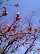 e0060483_203050100.jpg