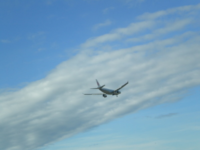 d0129786_5544216.jpg