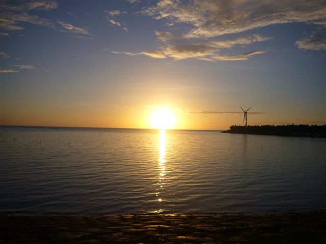d0146489_15505170.jpg