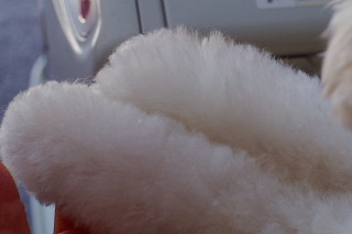 b0104592_21361558.jpg