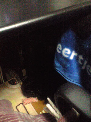 e0019594_21345589.jpg