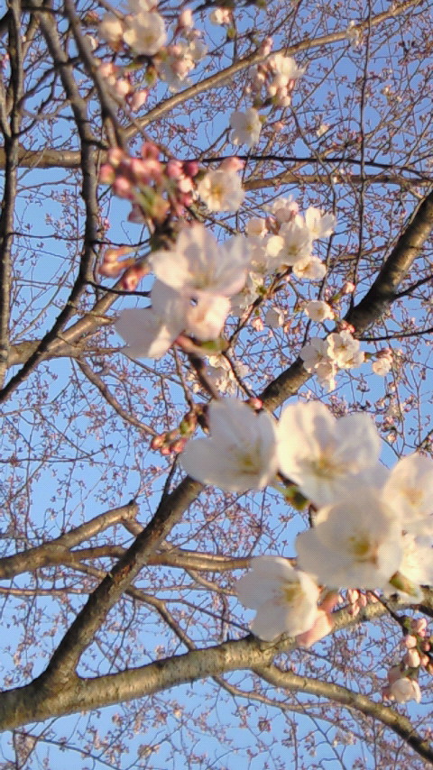 f0114900_22382537.jpg