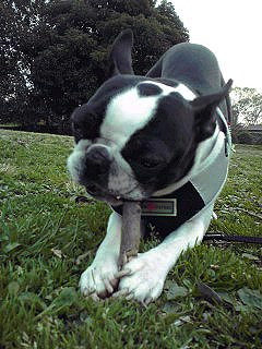 d0070702_22185512.jpg