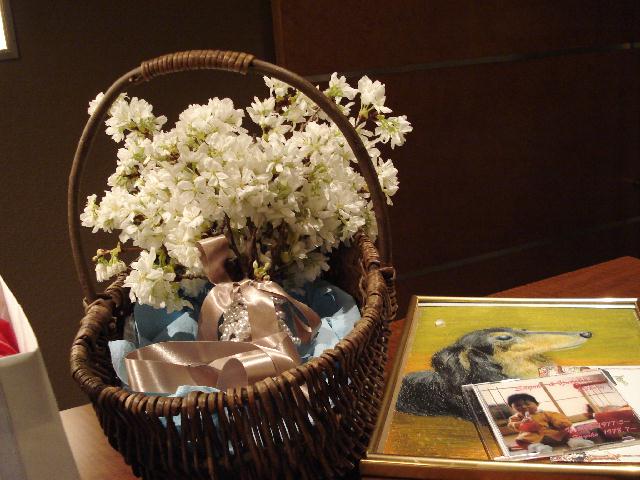 f0084806_831771.jpg
