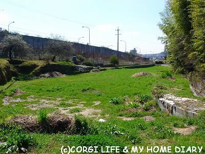 c0153410_1332929.jpg
