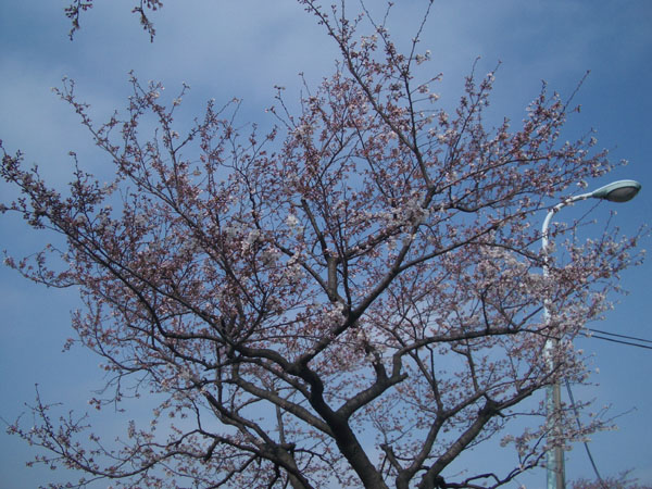 b0111116_18375469.jpg