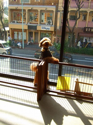 d0023323_23544289.jpg
