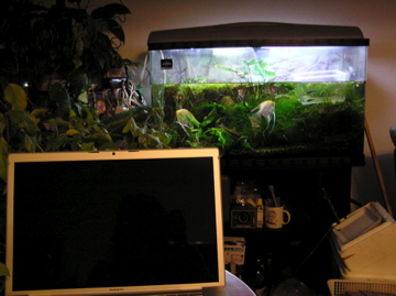 f0128723_23121530.jpg