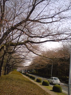 f0128723_23162045.jpg