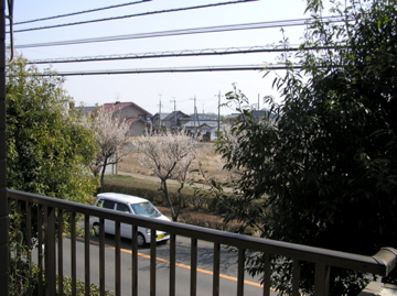 f0128723_2338204.jpg