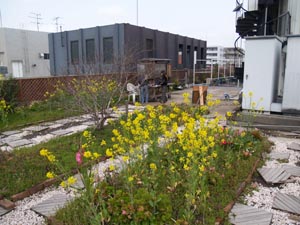 f0031024_0515324.jpg