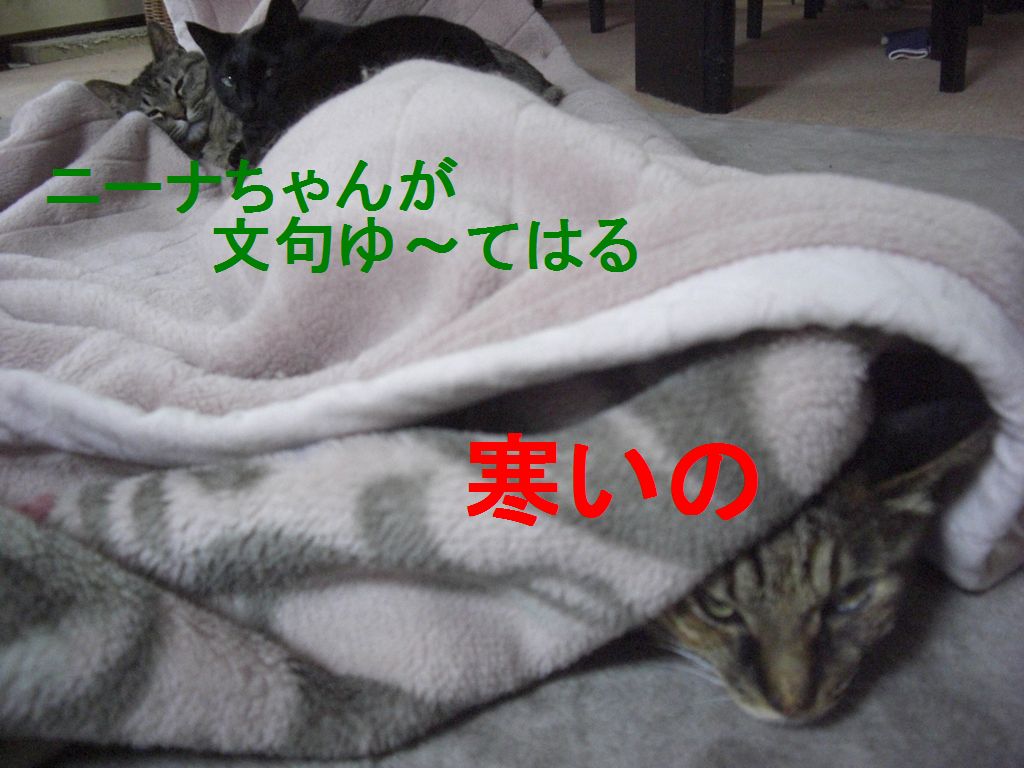 e0142430_2250651.jpg