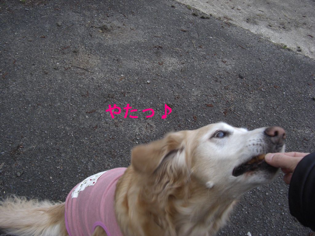 e0142430_22552897.jpg