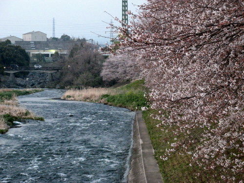 c0151731_23301316.jpg