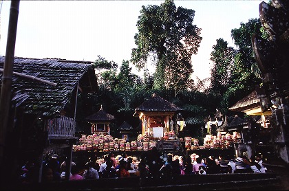 f0124737_20303227.jpg