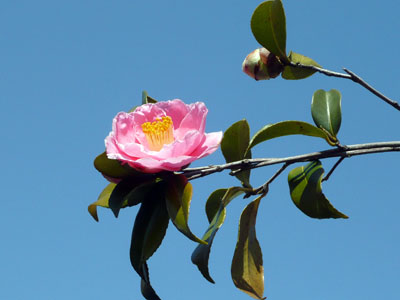 c0131544_2215125.jpg