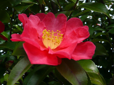 c0131544_222841.jpg