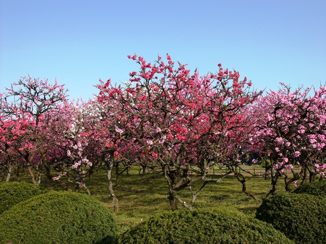 c0122445_15493650.jpg