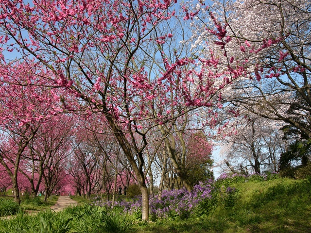 c0122445_15521057.jpg