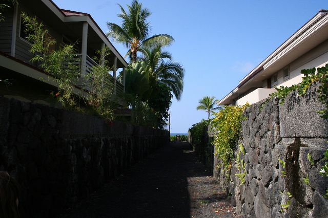 e0129046_16502010.jpg