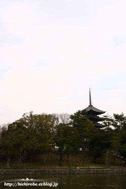 f0039446_19331817.jpg
