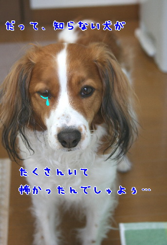 d0013149_1472111.jpg