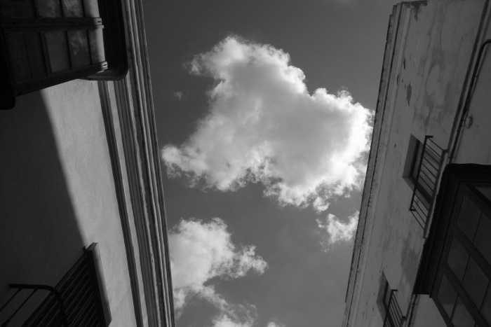 e0100152_0502535.jpg