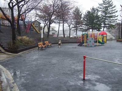 c0097558_23365185.jpg