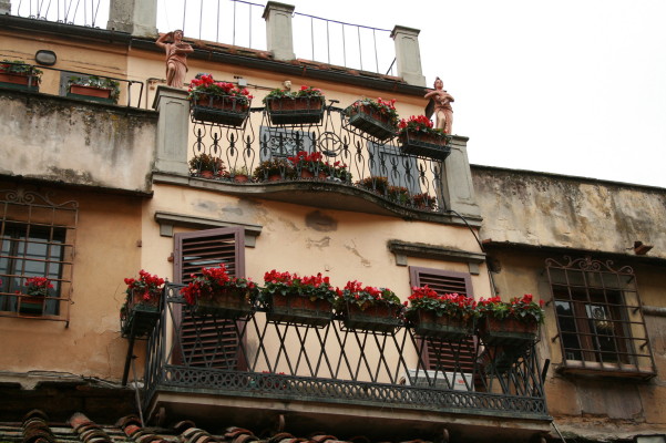 f0077159_74443.jpg